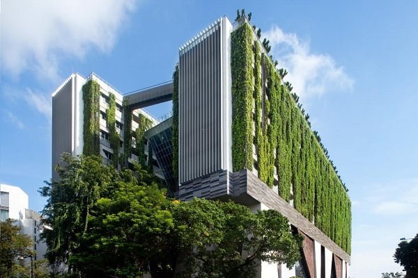 Construcciones Sostenibles. Sí es posible urbanizar a Ibagué sin perder su ‘verde’